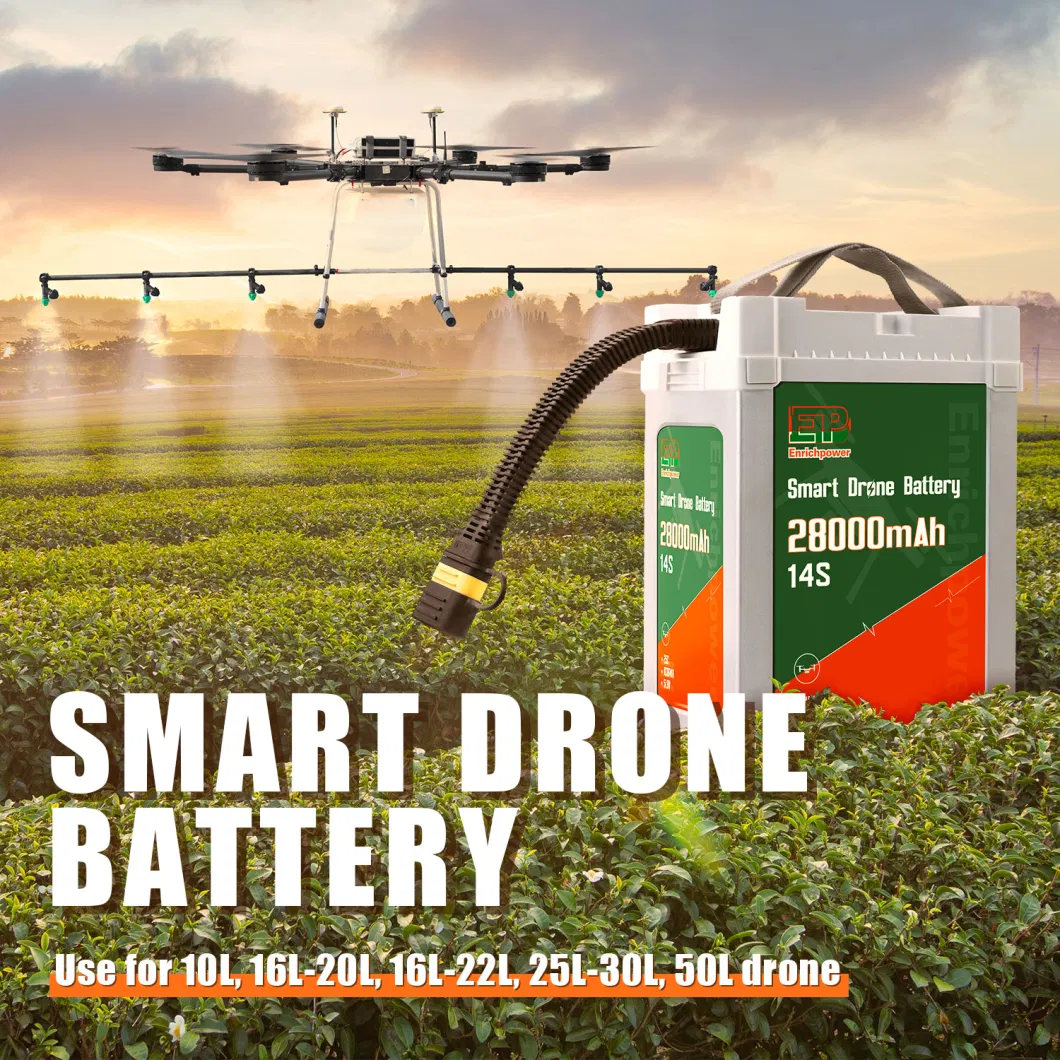 Módulo de alimentação de drones personalizado 51.8V Bateria de voo Drone AC-DC Modulo 2