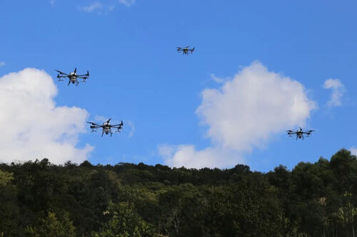 últimas notícias da empresa sobre Pu'er: Aplicação de UAV coloca "asas de ciência e tecnologia" na proteção dos recursos florestais e de pastagens